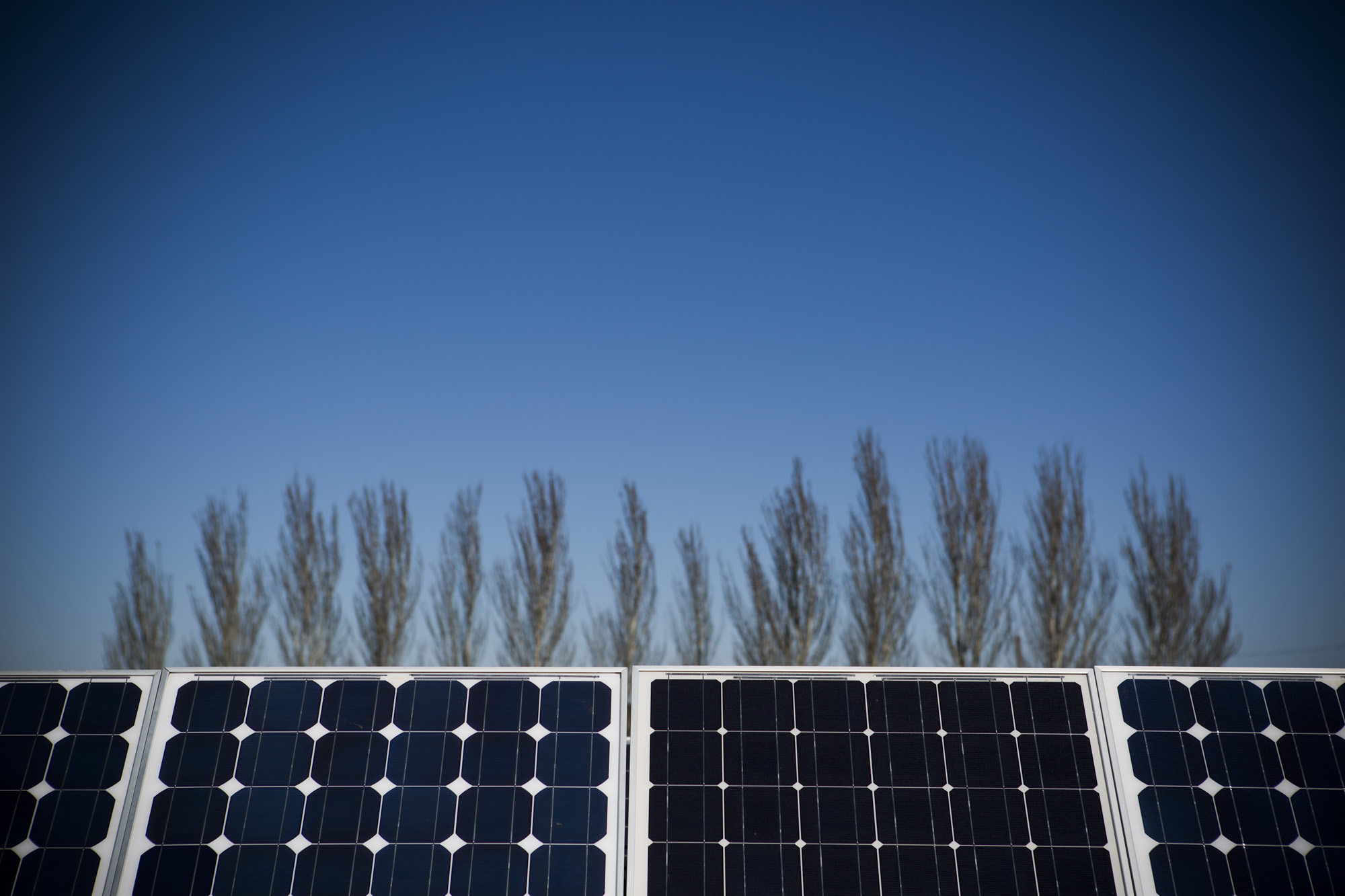 Paneles solares, Madridejos (Toledo)