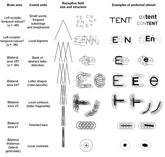 Letras y grafemas